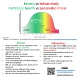 ketosis vs ketoacidosis (Ketoacidosis (acetonenia, acetonuria, ketoaciduria, ketonemia, ketonuria)