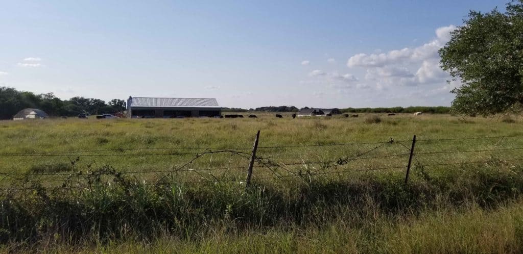 1915 farm grown food food 224 Fox Crossing, Meyersville, Texas 77974