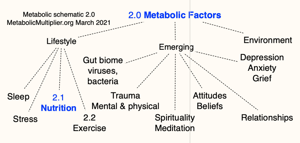 2.0 Metabolic Health Factors