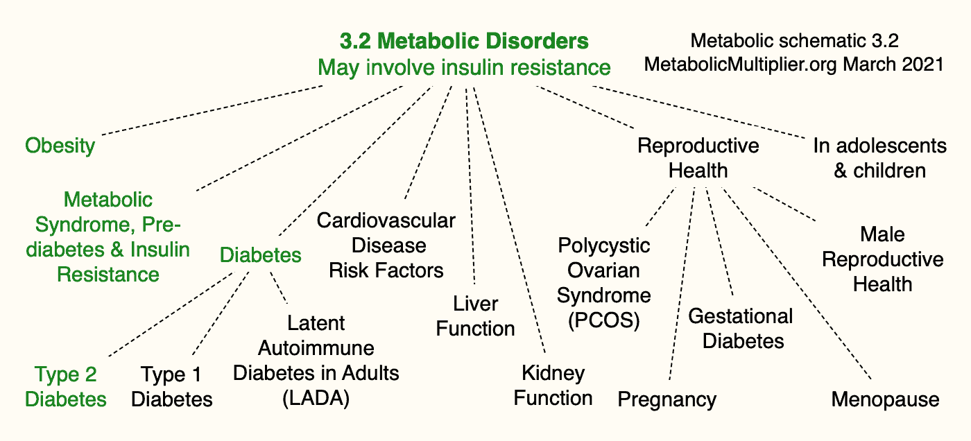 Metabolic factors - Organizing how we think - Metabolic Multiplier