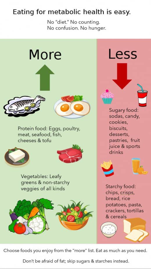 What is metabolic health? Plain language definition - Metabolic Multiplier