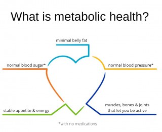 What is metabolic health? A biochemist's definition - Metabolic Multiplier